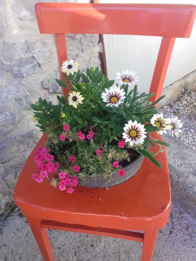 Apartment Rojal Mali Lošinj Εξωτερικό φωτογραφία